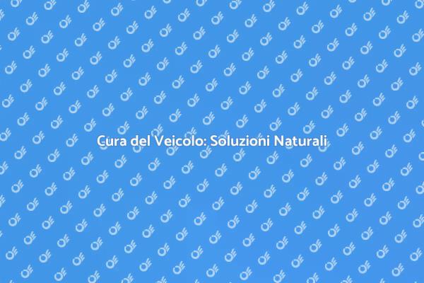 Mantieni il Tuo Veicolo con Prodotti Naturali
