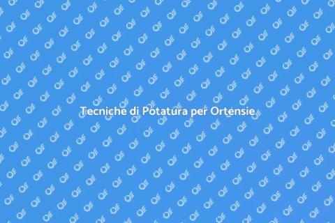 Potatura Ortensie: Bellezza e Struttura