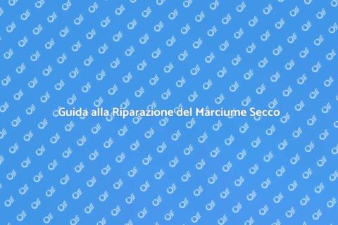 Riparare il Marciume Secco in Casa