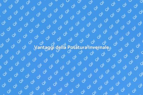 Potatura Invernale: Segreti e Vantaggi