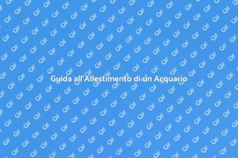 Allestire un Acquario Marino Facile