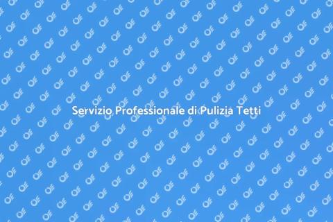 Pulizia Tetto: Servizio Essenziale