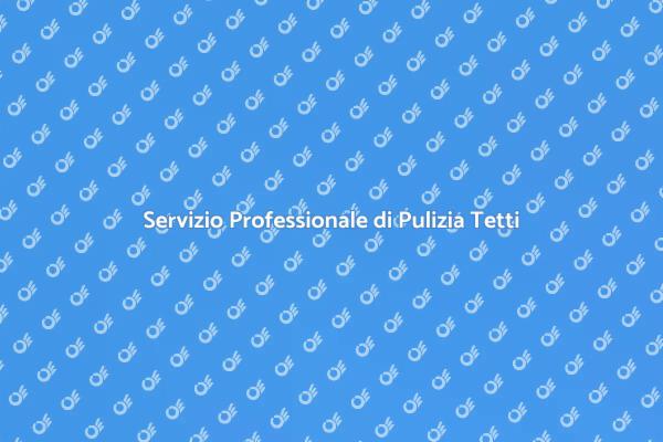 Importanza della Pulizia del Tetto