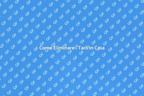 Disinfestazione Tarli: Guida Completa
