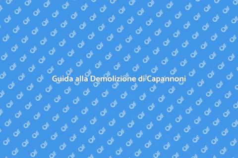 Demolizione Capannone in Cemento Armato