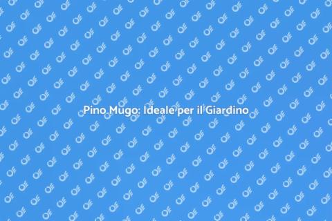 Siepe di Pino Mugo: Eleganza Verde
