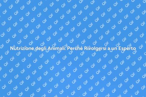 Nutrizione per Animali: Consulenza Esperta