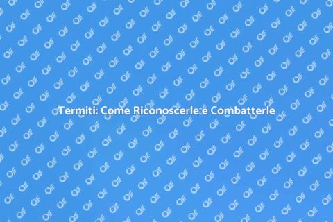 Disinfestazione Termiti: Guida Completa