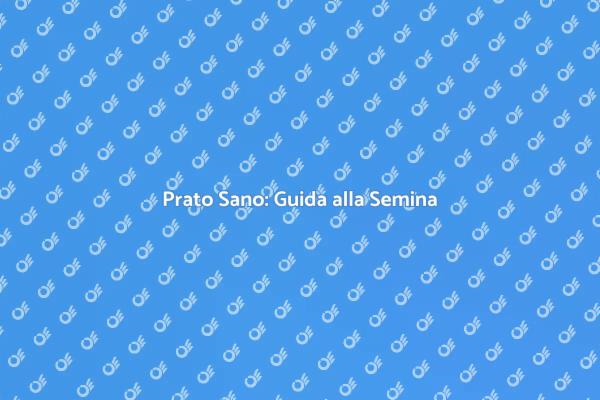 Ristruttura il Tuo Giardino con un Prato Verde
