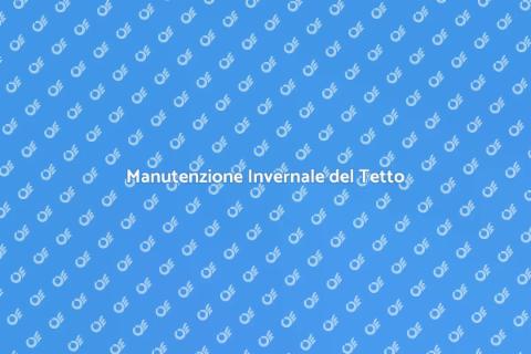 Pulizia del Tetto in Inverno