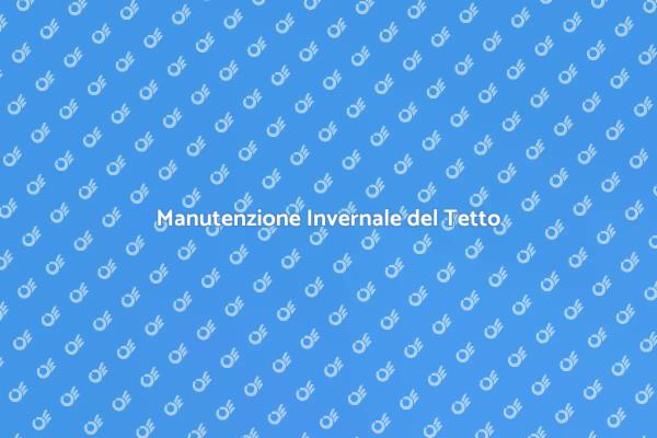 Perché Pulire il Tetto in Inverno