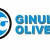 Assistenza Autorizzata Elettrodomestici Ginulla Oliver 