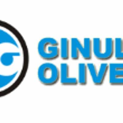 Assistenza Autorizzata Elettrodomestici Ginulla Oliver