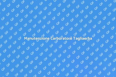 Riparazione Carburatore Tagliaerba