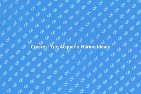Allestire un Acquario Marino Perfetto