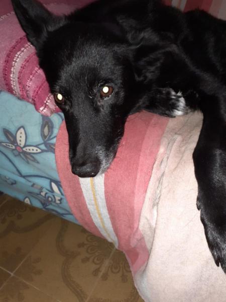 Benedetta - Foto 4