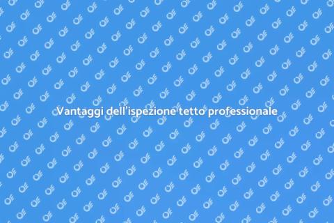Ispezione tetto professionale: perché farla