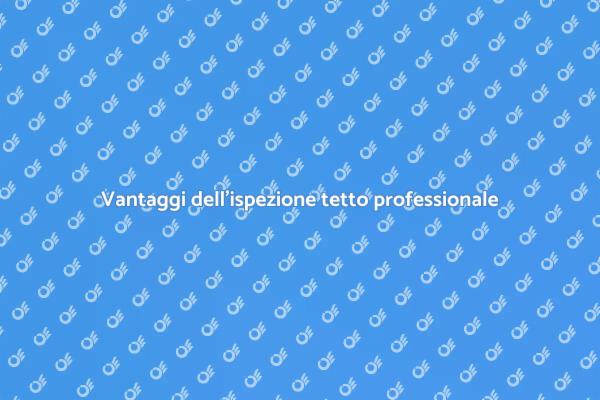 Scopri l'importanza dell'ispezione tetto