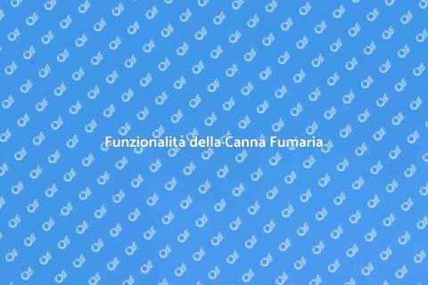 Canna Fumaria: Installazione e Manutenzione
