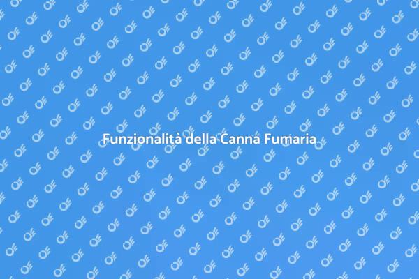 Installazione e Manutenzione Canna Fumaria