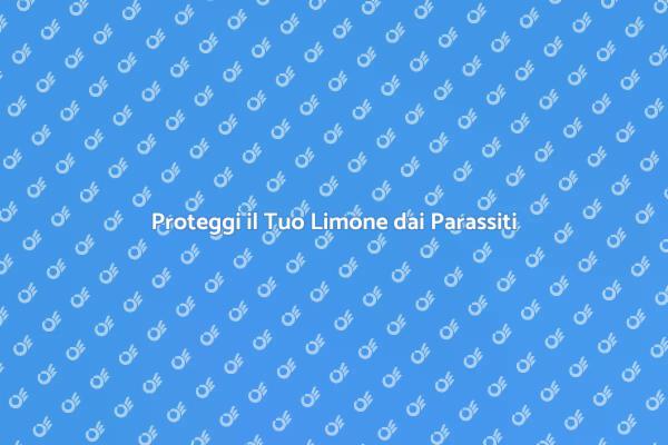 Disinfestazione Efficace del Limone