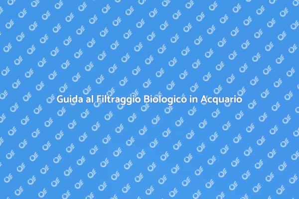 Scegli il Miglior Filtraggio per Acquario