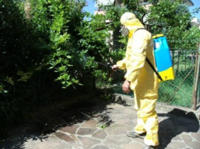 No Fly Zone  - Foto 2