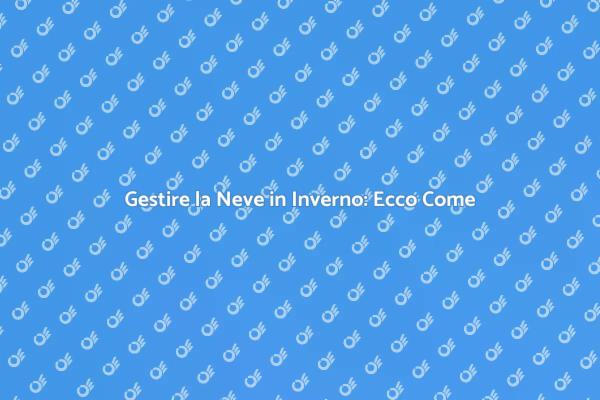 Come Affrontare la Neve in Inverno
