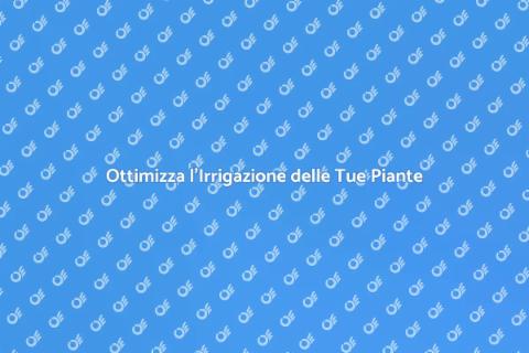 Irrigazione Efficiente per le Piante