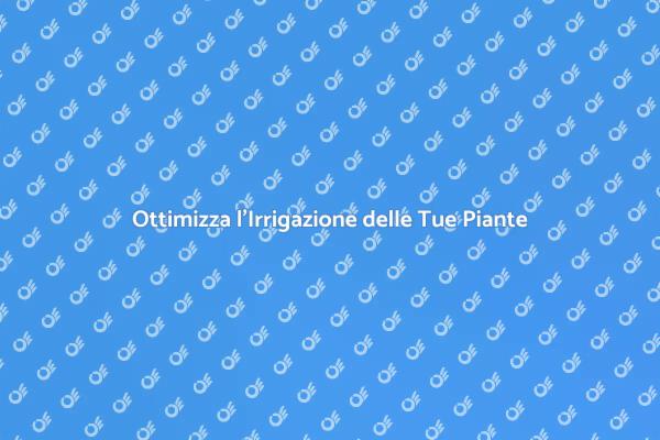 L'Arte dell'Irrigazione Sostenibile