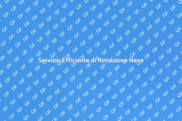 Rimozione Neve: Sicurezza e Professionalità