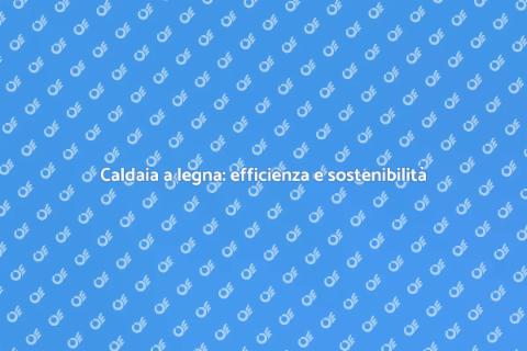 Efficienza caldaia a legna per il futuro