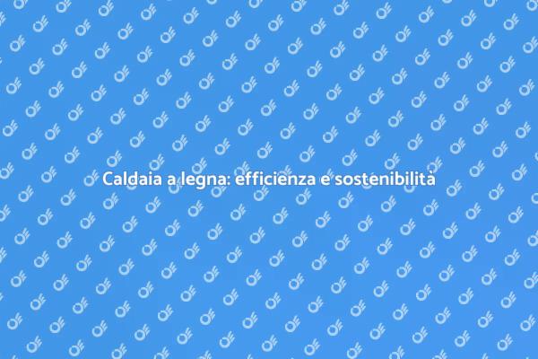Caldaia a legna: una scelta energetica