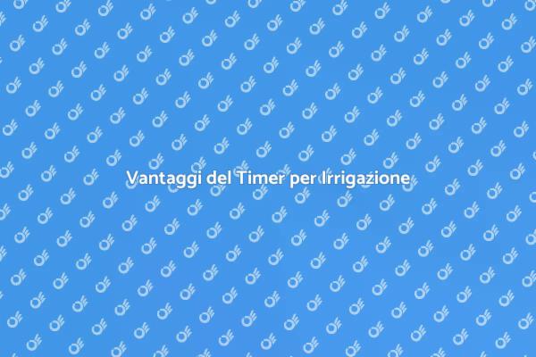 Irrigazione Efficiente con un Timer