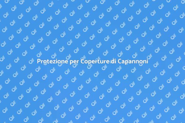 Linea Vita: Sicurezza in Alto