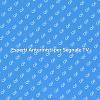 Antennista: Segnale TV Perfetto!