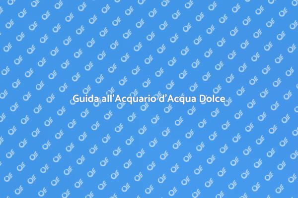 Crea il Tuo Acquario d'Acqua Dolce