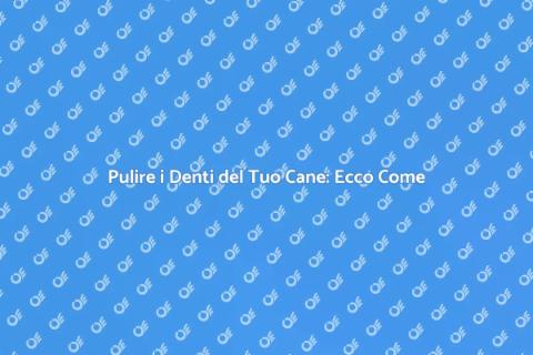 Igiene Denti Cane: Guida Completa