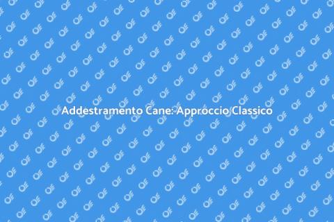 Addestramento Cani: Metodo Tradizionale