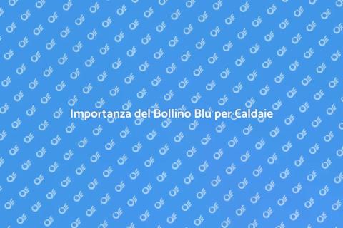 Bollino Blu Caldaia: Sicurezza Energetica