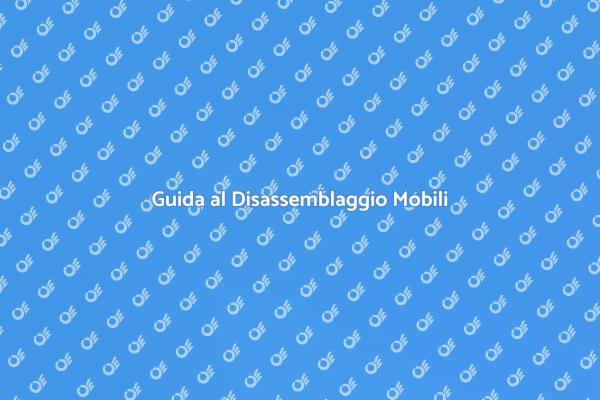 Servizio di Rimontaggio Professionale