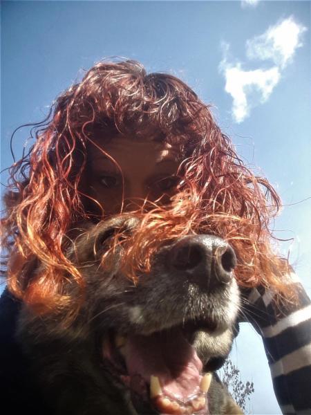 dogsitting, gruppi di dogtrekking e socializzazioni - Foto 24