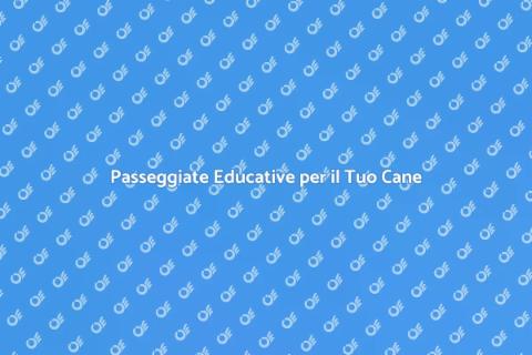 Dog Walking e Addestramento Professionale