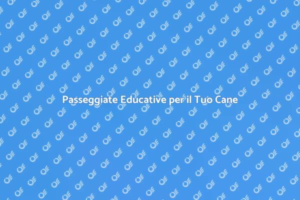 Servizio di Dog Walking Educativo