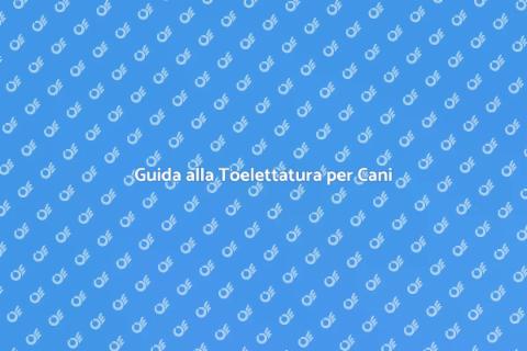 Toelettatura Cani da Esposizione
