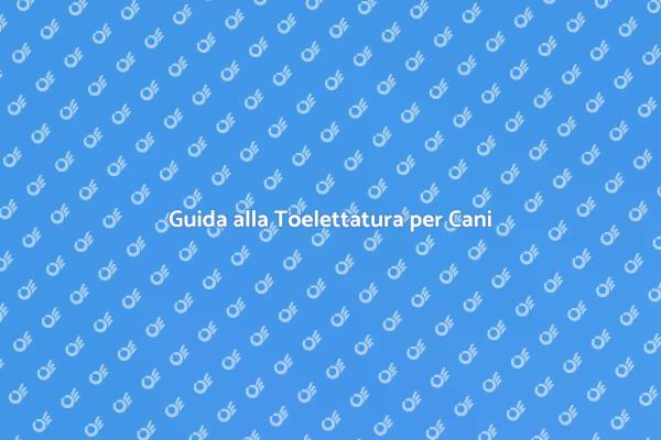 Come Scegliere la Toelettatura Giusta