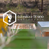 Salvatore S.