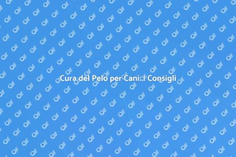 Spazzolatura e Lavaggio Cani: Guida