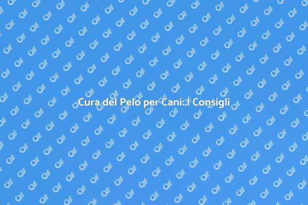 Cura e Benessere per Cani di Tutte le Taglie