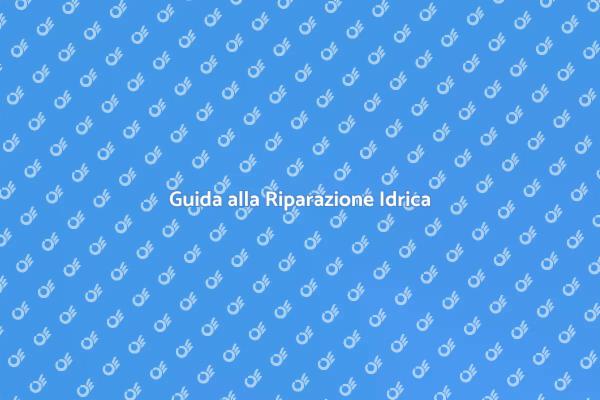 Manutenzione del Sistema Idrico
